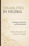 Edwin Etieyibo, Edwin Omiegbe Etieyibo, Odirin Omiegbe, Omiegbe Odirin - Disabilities in Nigeria