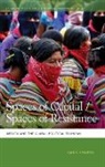 Chris Hesketh, Mathew Coleman, Nik Heynen - Spaces of Capital / Spaces of Resistance