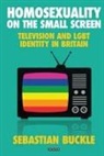 Dr Sebastian Buckle, Sebastian Buckle, Buckle Sebastian - Homosexuality on the Small Screen