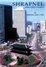 Dong-ha Lee, Hyun-jae Yee Sallee, Hyun-jee Yee Sallee - Shrapnel and Other Stories