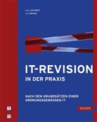 Dirk Brand, Klaus Schmidt - IT-Revision in der Praxis