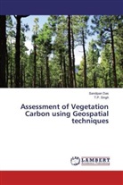 Sandipa Das, Sandipan Das, T P Singh, T. P. Singh, T.P. Singh - Assessment of Vegetation Carbon using Geospatial techniques