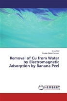 Isra Abd, Israa Abd, Hayder Abdul-Hameed - Removal of Cu from Water by Electromagnetic Adsorption by Banana Peel