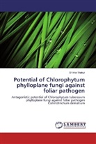 Shikha Thakur - Potential of Chlorophytum phylloplane fungi against foliar pathogen