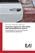 Warren Cairns, Rossan Piazza, Rossano Piazza, Fabi Trivellin, Fabio Trivellin - Un primo approccio alla tutela dell'automobilismo storico