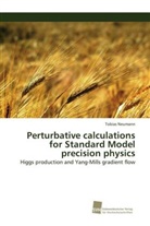 Tobias Neumann - Perturbative calculations for Standard Model precision physics
