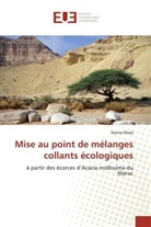 Naima Rhazi - Mise au point de mélanges collants écologiques