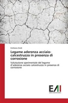 Emiliano Ovidi - Legame aderenza acciaio-calcestruzzo in presenza di corrosione