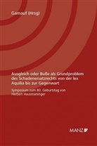 Richard Gamauf - Ausgleich oder Buße als Grundproblem des Schadenersatzrechts von der lex Aquilia bis zur Gegenwart  (f. Österreich)