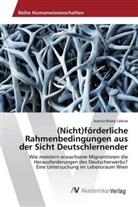 Joanna Marta Cebula - (Nicht)förderliche Rahmenbedingungen aus der Sicht Deutschlernender