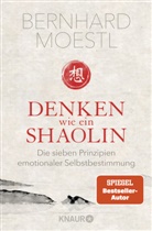 Bernhard Moestl - Denken wie ein Shaolin