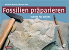 Werner Fink, Michae Maisch, Michael Maisch - Fossilien präparieren