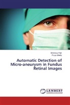 Shriniva Patil, Shrinivas Patil, Pooja Shetty - Automatic Detection of Micro-aneurysm in Fundus Retinal Images