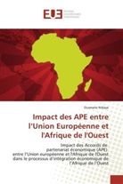 Ousmane Ndiaye - Impact des APE entre l'Union Européenne et l'Afrique de l'Ouest