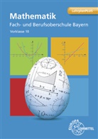 Jose Dillinger, Josef Dillinger, Michael Schittenhelm - Mathematik FOS/BOS Bayern - Vorklasse