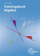 Eugen Schwerdtfeger - Trainingsbuch Algebra