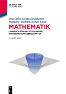 Wolfgang Burkart, Wolfgang R. Burkart, Stefa Etschberger, Stefan Etschberger, Robert Klein, Ott Opitz... - Mathematik