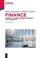 Andre Grüner, Andreas Grüner, Klaus Spremann, Klaus (Prof. Dr. Dr. h.c. Spremann, Klaus (Prof. Dr. Dr. h.c.) Spremann - Finance