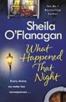 Sheila O'Flanagan - What Happened That Night