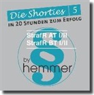 Karl-Edmund Hemmer, Achim Wüst - StrafR AT I/II, StrafR BT I/II, Lernkarten