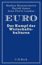 Markus Brunnermeier, Markus K Brunnermeier, Markus K. Brunnermeier, Harol James, Harold James, Jean- Landau... - Euro