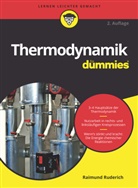 Raimund Ruderich - Thermodynamik für Dummies