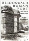 Hugh Willmott, Tony Wilmott - Birdoswald Roman Fort