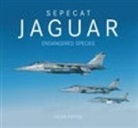 Peter Foster - Sepecat Jaguar: Endangered Species