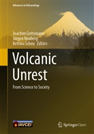 Joachim Gottsmann, Jürge Neuberg, Jürgen Neuberg, Bettina Scheu - Volcanic Unrest