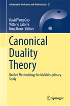 David Gao, David Yang Gao, Vittori Latorre, Vittorio Latorre, Ning Ruan - Canonical Duality Theory