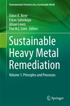 Piet N. L. Lens, Piet N.L. Lens, Alison Lewis, Alison Lewis et al, Eldon R. Rene, Erka Sahinkaya... - Sustainable Heavy Metal Remediation