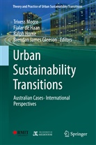 Fjala de Haan, Fjalar de Haan, Brendan James Gleeson, Fjalar J de Haan, Fjalar J. de Haan, Ralph Horne... - Urban Sustainability Transitions