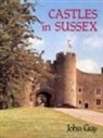 John Guy - Castles in Sussex