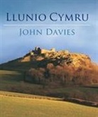 John Davies, Davies John - The Making of Wales (Welsh Edition)