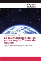 Fernando Alfredo Riofrío Zúñiga - La multiplicidad de los entes según Tomás de Aquino