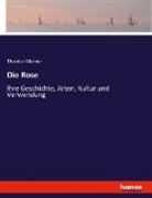 Theodor Nietner - Die Rose