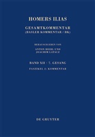 Homer, Katharina Wesselmann, Anton Bierl, Joachim Latacz - Homers Ilias - Band XII. Faszikel 2: Kommentar. Fasz.2