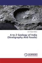 Om Prakash Mathur - A to Z Geology of India (Stratigraphy And Fossils)