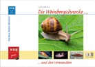 Ulrich Kattmann - Die Weinbergschnecke und ihre Verwandten