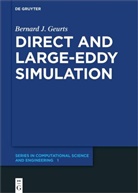 Bernard J Geurts, Bernard J. Geurts - Direct and Large-Eddy Simulation