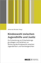 Gabriel Bindel-Kögel, Gabriele Bindel-Kögel, Hoffma, Hoffmann, Helena Hoffmann, Johanne Münder... - Kindeswohl zwischen Jugendhilfe und Justiz