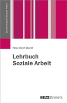 Peter-Ulrich Wendt - Lehrbuch Soziale Arbeit