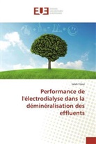 Salah Frioui - Performance de l'électrodialyse dans la déminéralisation des effluents
