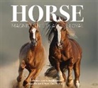 Catherine Austen, Catherine Gorrie Austen, Catherine Roome Austen, Austen Catherine, Sarah Gorrie, Pippa Roome... - Horse