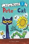 James Dean, Kimberly Dean, Dean James, James Dean - Pete the Cat and the Cool Caterpillar