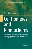 Ben E. Black, Be E Black, Ben E Black - Centromeres and Kinetochores