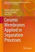 Dionisio da Silva Biron, Dionisi da Silva Biron, Dionisio da Silva Biron, Venin dos Santos, Venina dos Santos, Zeni... - Ceramic Membranes Applied in Separation Processes