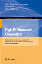 Carlos Jaime Barrios Hernández, Isidor Gitler, Isidoro Gitler, Jaime Klapp - High Performance Computing