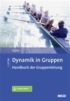Eberhard Stahl - Dynamik in Gruppen, m. 1 Buch, m. 1 E-Book
