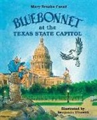 Mary Brooke Casad, Mary Brooke/ Vincent Casad, Benjamin Vincent - Bluebonnet at the Texas State Capitol